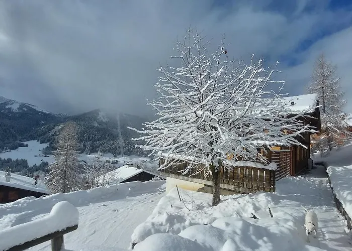 D'hotes L'ours Bleu 3* Les Diablerets