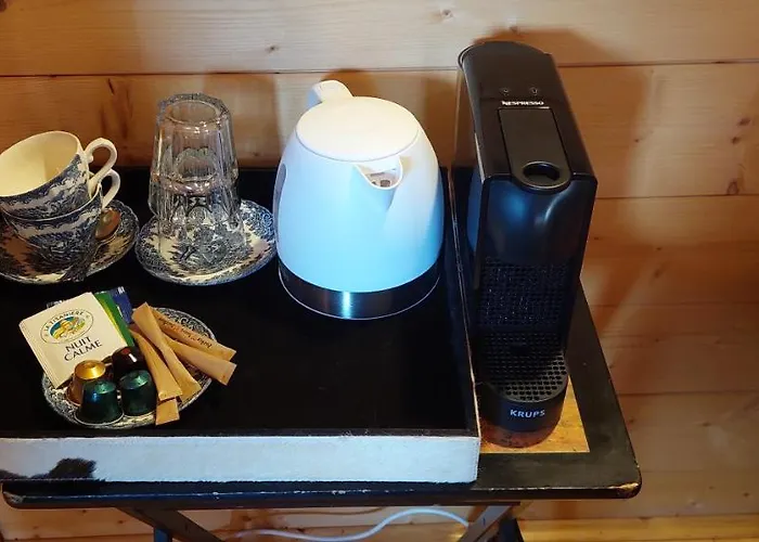 D'hotes L'ours Bleu 3* Les Diablerets