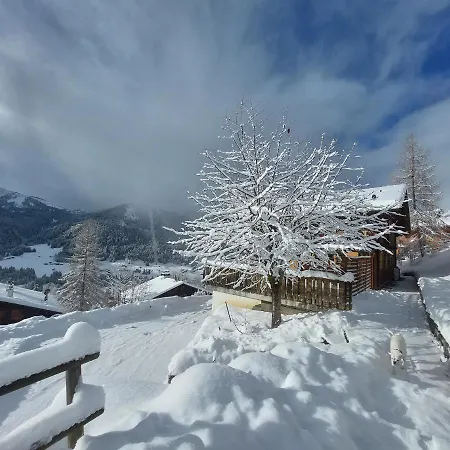 D'hotes L'ours Bleu * Les Diablerets